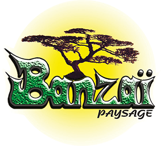 BANZAI PAYSAGE