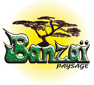 Banzaï Paysage