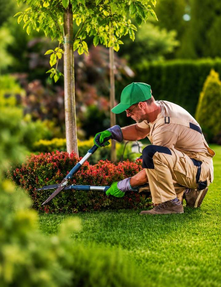 Expert en entretien de jardin Plailly
