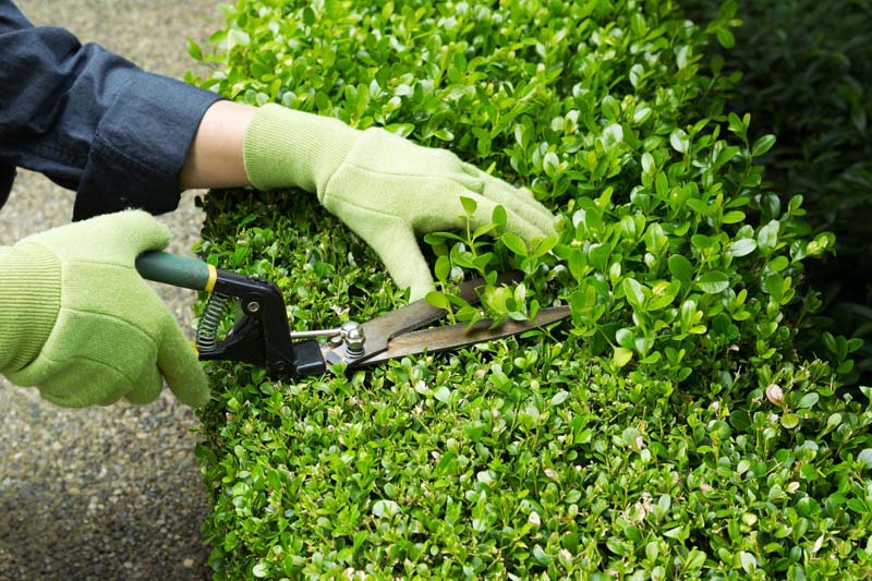 Travaux d’entretien de jardins Plailly