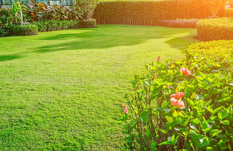Création de jardin Plailly