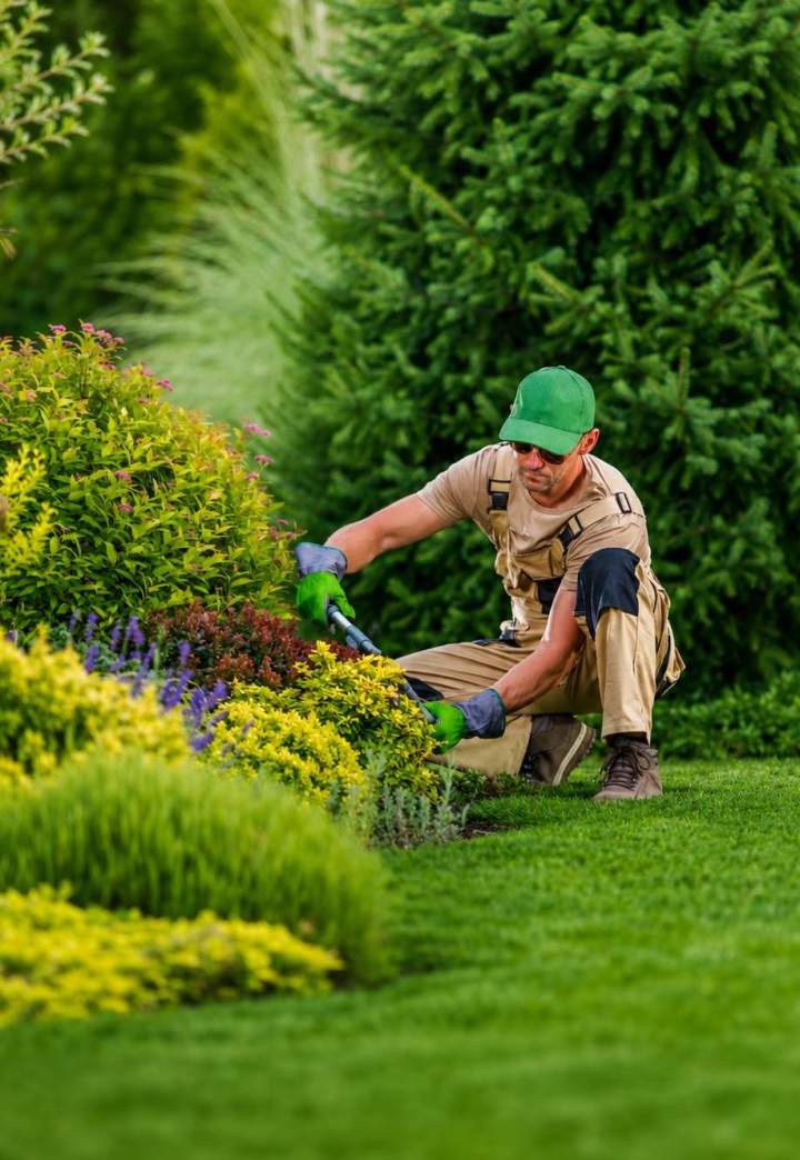 Entretien régulier de jardin Plailly